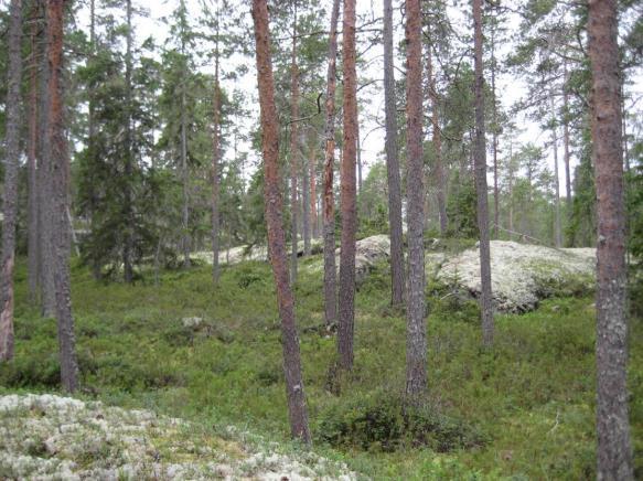 27 Specialverksamhet På planeområdet finns ingen specialverksamhet och medför således inte positiva, eller negativa, konsekvenser. Tidigare jordavstjälpningsplats kommer inte användas i framtiden. 5.