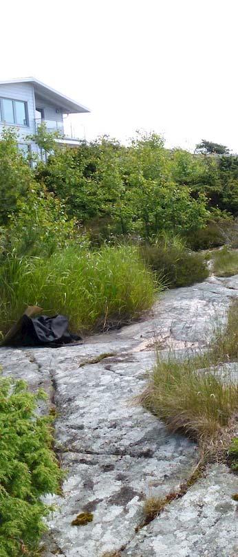 Naturvärdesinventering Tanums-Rörvik 1:77 m.
