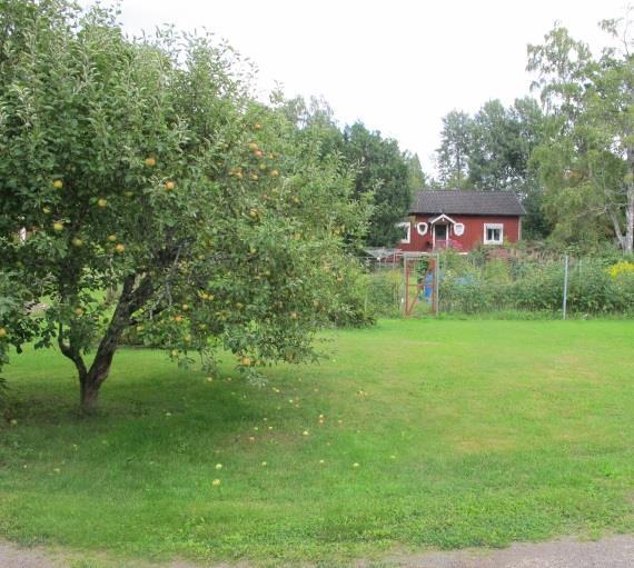 Bostadshuset på den tomt som tidigare var handelsträdgård.