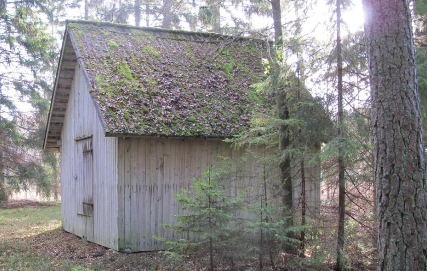 gammal granskog, men på kanten till de stora