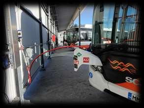 BIOGAS STRATEGIN Etablera första