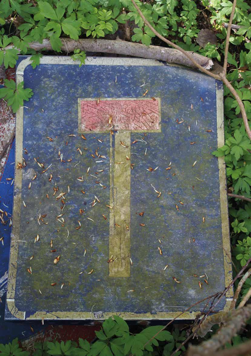 Arkeologisk utredning