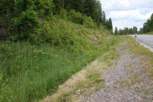 13. Blidsberg-Trädet Sida av vägen Längd BESKRIVNING Skötselstatus Klass 1- arter Väster 136 m En torr och skarp slänt som nästan domineras av partier med öppen, bar, minerogen jord där grus och grov