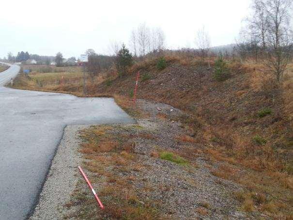 17. Blidsberg-Trädet Sida av vägen Längd BESKRIVNING Skötselstatus Öster 51 m En marginell skärning som ligger vid en busshållsplats. Minerogena ytor av grus, sten och sand förekommer.