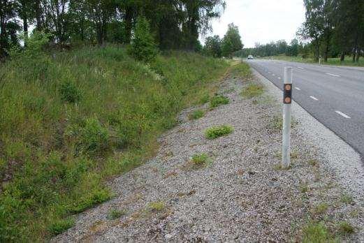 21. Blidsberg-Trädet Sida av vägen Längd BESKRIVNING Väster 67 m Vägskärning belägen vid busshållsplats mitt emot objekt 22. Vägskärningen inramas av en liten skogsdunge av lärk, tall och björk.