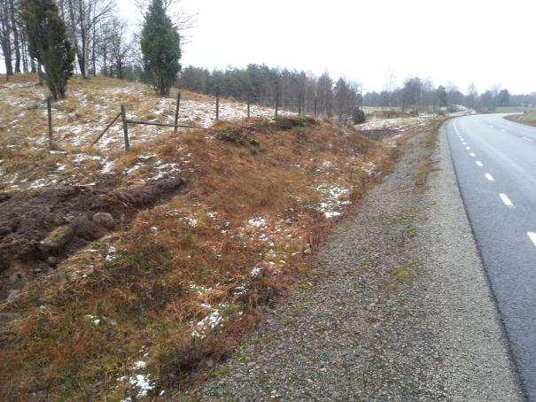 24. Blidsberg-Trädet Sida av vägen Längd BESKRIVNING Skötselstatus Klass 1- arter Öster 31 m Fin, blomrik torrängsslänt med inslag av öppen bar jord av sten och grus. Gränsar till f.d. fårbetad mark.