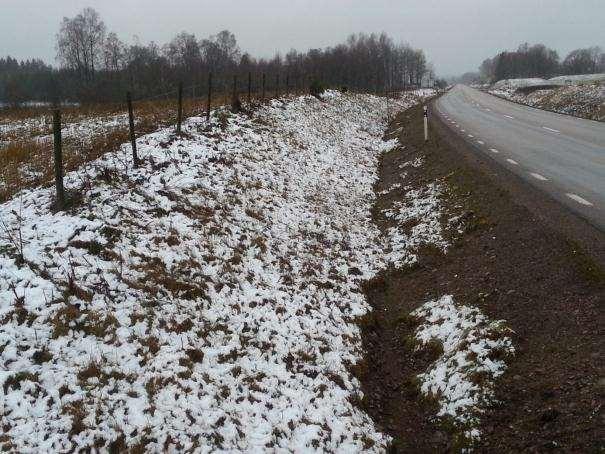 36. Åsarp-Trädet Sida av vägen Längd BESKRIVNING Skötselstatus Öster 115 m Artrik vägkant men som alla som ligger på östra sidan så är gräsväxten rikare och förnalagren framträdande.