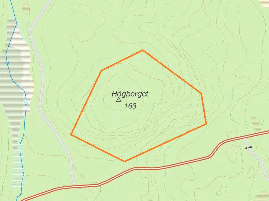 Länsstyrelsens kommentar: Länsstyrelsen har inventerat den gamla tallskogen i Högberget, som ligger i en tallvärdetrakt. Flera skyddsvärda vedlevande arter har noterats.