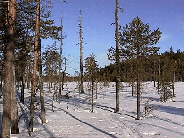 Bevarandeplan Natura 2000 Stormyran-Lommyran SE 0710175 Namn: