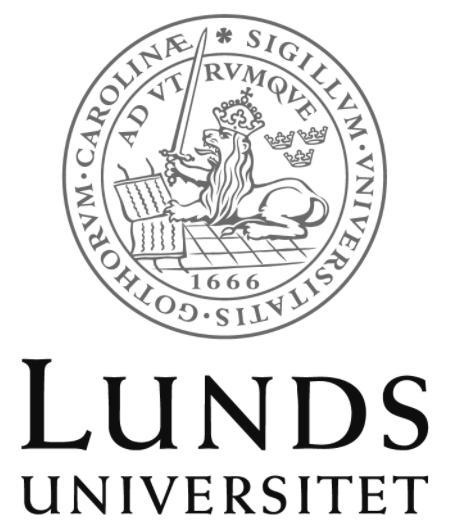 Grönlutslam för efterbehandling av gruvavfall Avsättnings- och affärsmöjligheter Alexander Andersson 2017