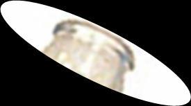 Skolresa