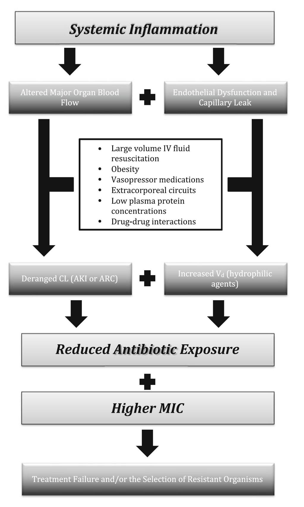 Hur påverkar sepsis antibiotikas PK Udy AA, et