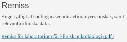 2018-12-18 18692 11 (13) Dokumentlänkar Länkar till dokument ska vara tydliga och informativa, precis som filnamn och länkar till webbsidor. Dokumentlänkar öppnas alltid i samma fönster.