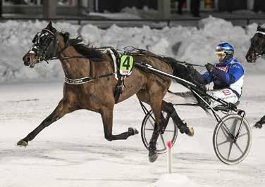 GREAT VICTORY 1640:9 *14,1 AM 16,0 M 14,1 AK Total: 25 5-0-0 169.600 Sk 9 7,br.v.e Zola Boko - 19: 1 1-0-0 18,3a 10.000 18: 9 1-0-0 16,2a 31.
