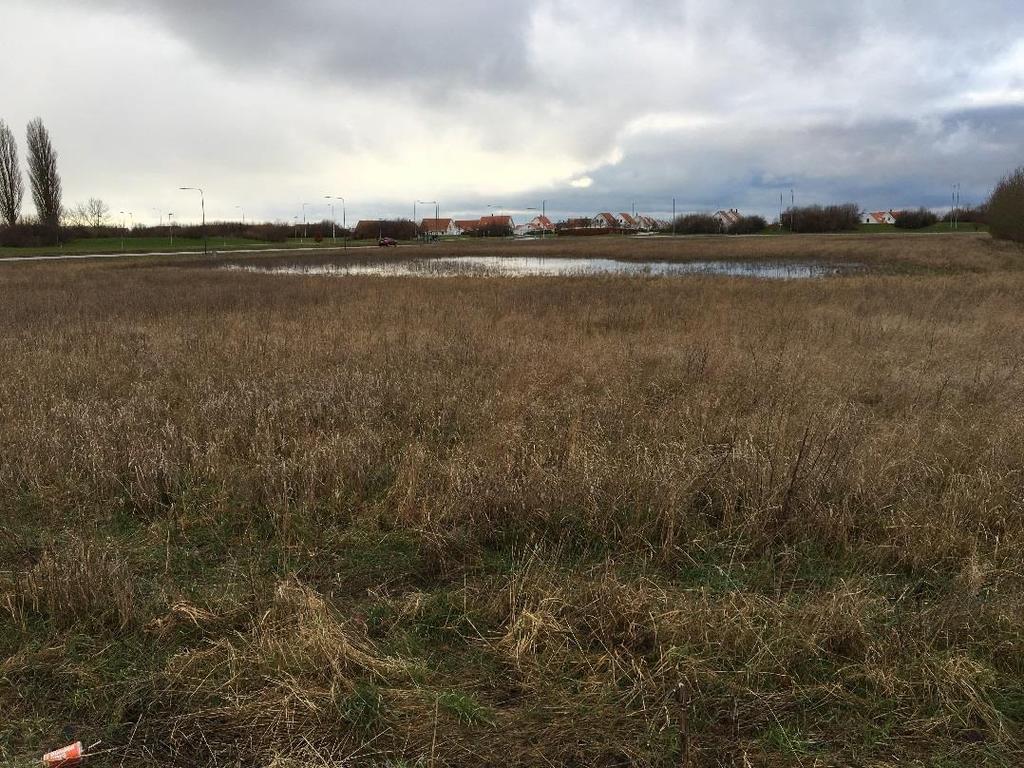 Figur 2. Foto från norra delen av planområdet, taget vid platsbesök 2018-01-07. Befintlig marknivå är i väster och mellersta delen av fastigheten, norr om Havrejordsvägen ca 20,6 21 m.