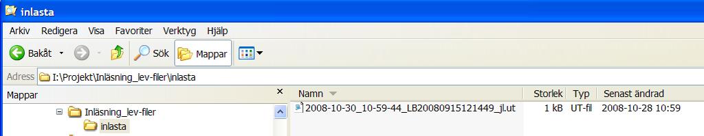 Den inlästa filen döps om, med tillägg för datum och klockslag före det ursprungliga filnamnet utifrån när inläsningen