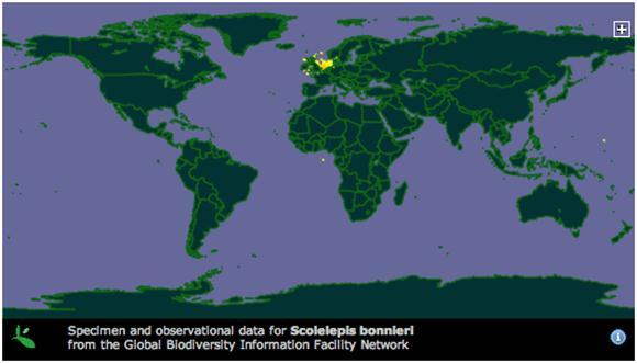 Habitat Vektor Population & status Management
