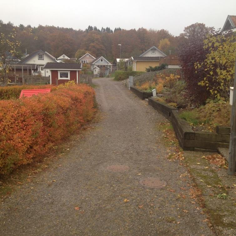 Det finns idag brister i koloniområdets vägnät, då framkomligheten samt bärigheten på vägen inte uppfyller Räddningstjänstens krav.