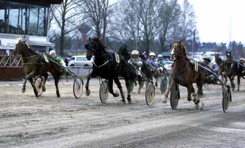 nyhetsbörsen november2012 121102 Kajsa kryssade till seger 121103 Leif champion på hemmaplan Rättvikschampion Witasp hyllas.