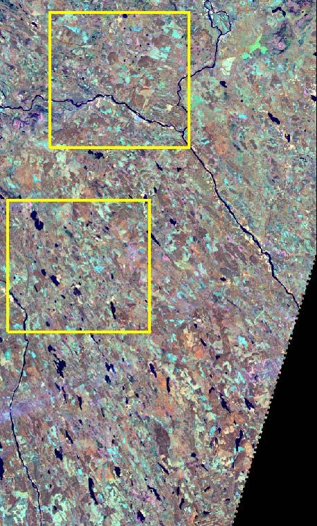 52 Förutom ovan nämnda parametrar noterades också dominerande arter och ytorna dokumenterades med foto. Eventuellt nya ingrepp på myren eller gamla som inte synts i flygbilden noterades också.
