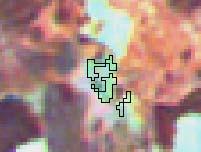 1989-08-22 B. 2000-07-28 C.