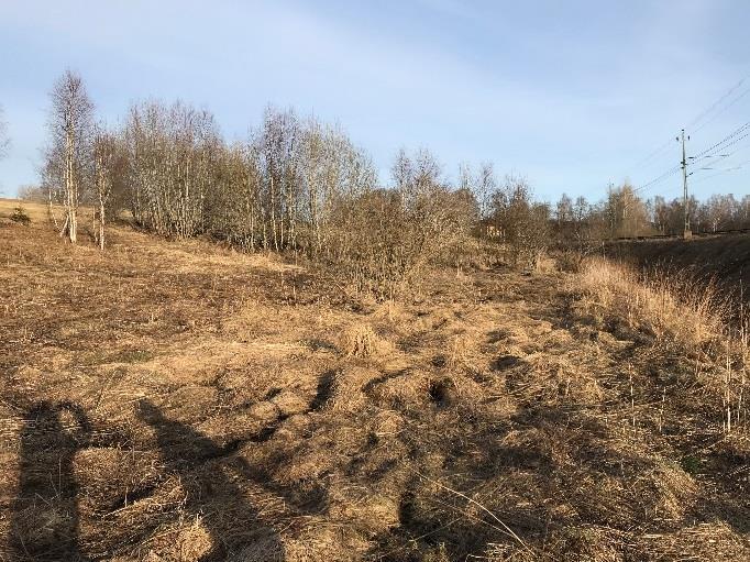 Geoteknisk utredning (BGK, 2009-02-6). Jordartskarta och jorddjupskarta framtagna med SGU:s kartgenerator. Jönköpings kommuns plan för dagvattenhantering (Jönköpings kommun, 2009) 2.