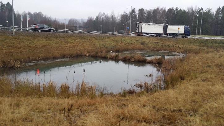 Bäck genom södra delen