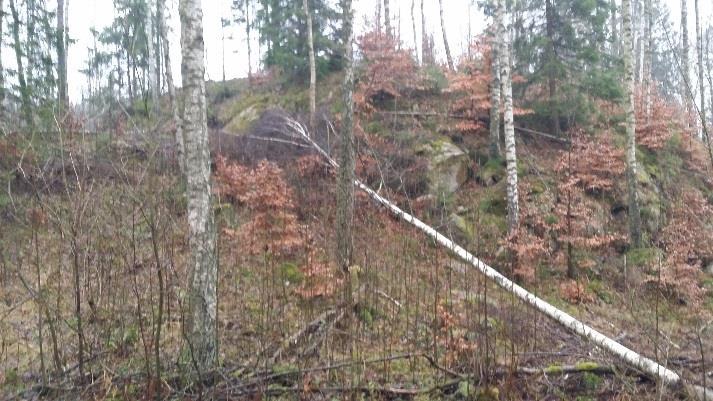 planområdet i sydväst