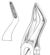 07 ÖK PREMOLAR 81-507-000 17 ÖK