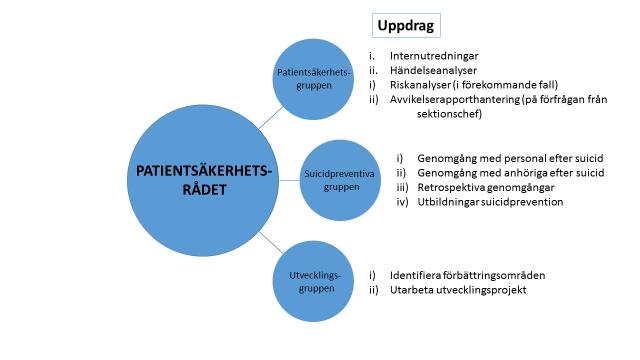 STOCKHOLMS LÄNS LANDSTING 5 (19) att utarbeta strategier för klinikens övergripande patientsäkerhetsarbete, med fokus på proaktiva och förebyggande åtgärder.