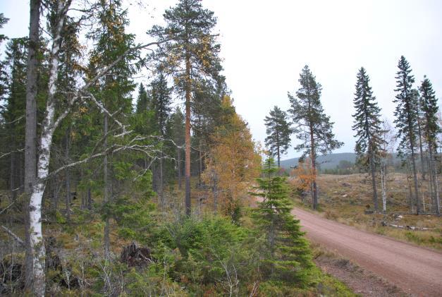 Belägenhet Fastigheten utgörs av ett större välarronderat skogsmarksskifte beläget ca 2 km sydöst om Hållberg samt ett mindre fäbodskifte i Dysbodarna.