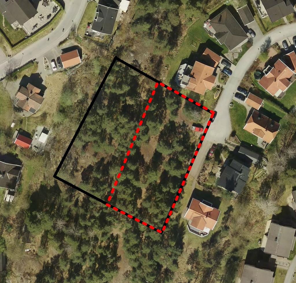 Planbestämmelsen Marklov krävs även för trädfällning av träd med omkrets över 0,5 meter, på en höjd över 1,5 meter finns i plankartan. Detta för att möjliggöra fällning av exempelvis sjuka träd.