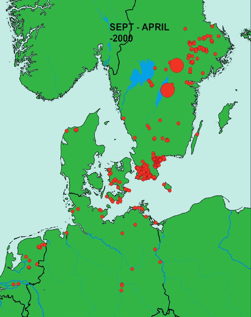 They arrive within a quite narrow zone at the coast of the province of Uppland after a passage over the Åland archipelago between Finland and Sweden.