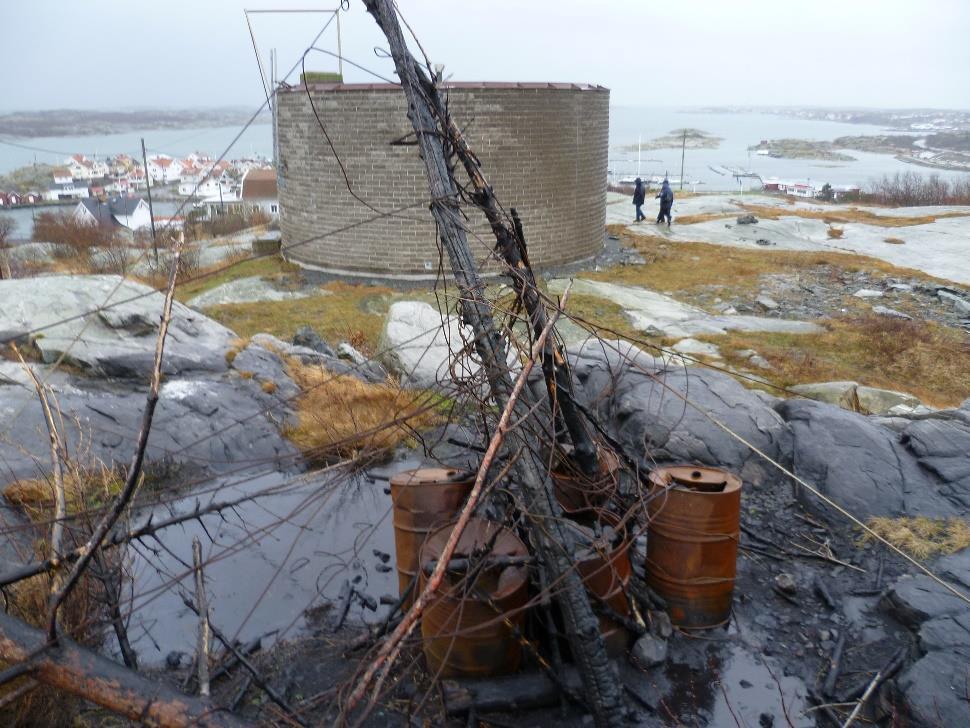 Hälsö Sakkunnigutlåtande från Nationellt forensiskt centrum Nationellt forensiskt centrum (NFC) vid Polismyndigheten har analyserat ett samlingsprov från askan på Norgårdsfyren på Öckerö, i syfte att