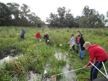 Sammanfattning Knappt 300 elever och lärare från grundskolan deltog i årets exkursioner till olika våtmarker och å-sträckor längs Saxån-Braån för att uppleva livet där och lära sig om hur man sköter