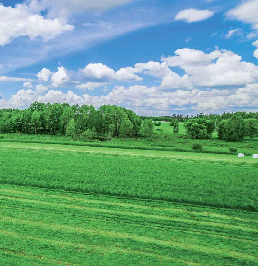 INNEHÅLL Sida 3- punktsupphängda slåtter/slåtterkrossar: 4 - KT 261/ KT261 S/ KT 260 W KT 301/ KT 301 S/ KT 300 W KT 341 PerfectCUT slåtterbalk 8-9 KONVENTIONELLA slåtter/slåtterkrossar bak med