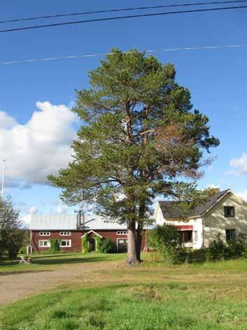 båda sidor i Erkheikki.