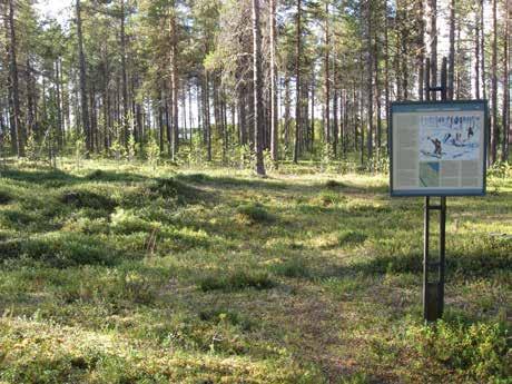 Tallheden vid Tervaniemi, diskret