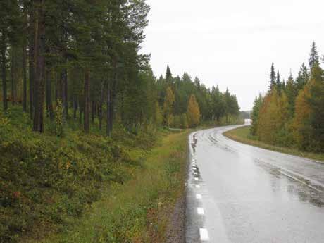 Myrarna är till stor del bevuxna med gles skog, och längs vägen finns oftast en smal skogsridå som gör att det finns sparsamt med utblickar från vägen.
