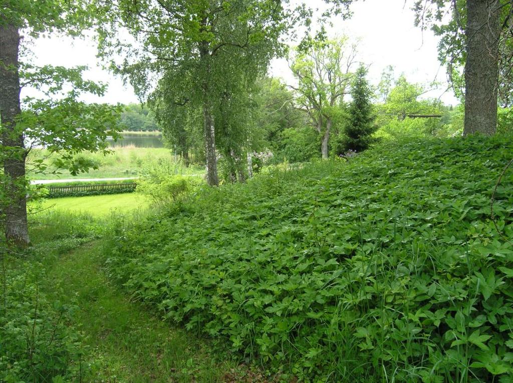 5 (9) anslutning till naturmark och en enskild väg. På tomten finns även en underjordisk källare som skall vid avstyckningen tillhöra stamfastigheten.