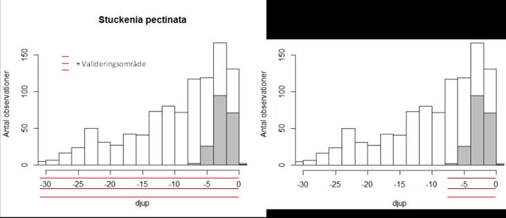 prediktion av en art som bara har påträffats mellan 1 och 5 m djup har bara validerats i områden mellan 0 och 6.25 m djup (50 % utanför naturliga djuputbredningen).