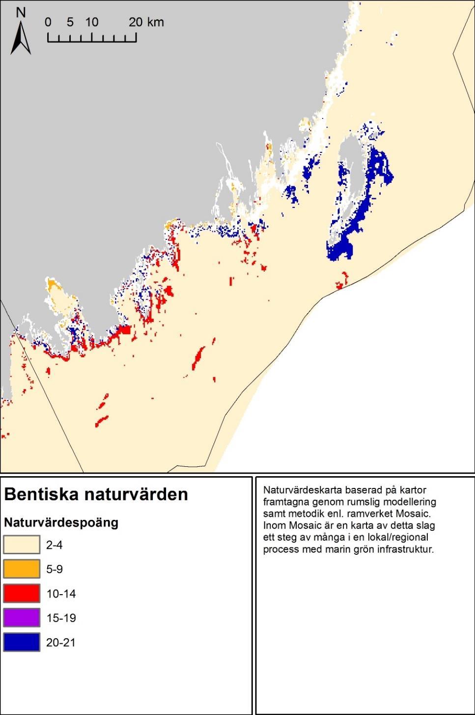 Kartering En gemensam naturvärdeskarta för alla bentiska ekosystemkomponenter (vegetation och zoobentos) togs fram baserat på det som karterats inom uppdraget (se Artmodeller).