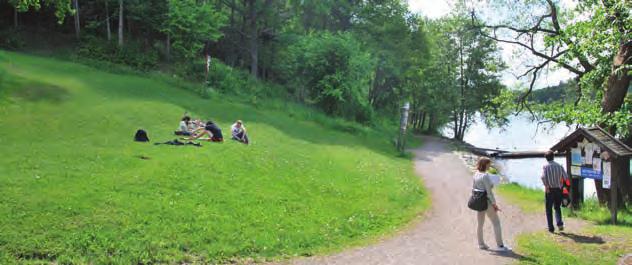 Stora Essingens strandstråk åtgärder för bättre orienterbarhet För att lätt kunna orientera sig utmed strandstråket och hitta de vattennära promenaderna