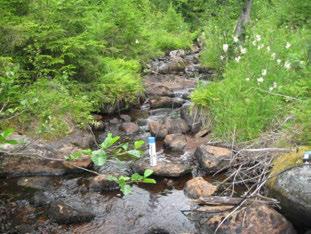 BÄCK FR HÖRTINGEN MÅLEN-AMUNDARP Emån (74) BÄCK FR HÖRTINGEN MÅLEN-AMUNDARP Koordinater (RT9) 63924-478 224 84 2 st/m2 6 Kalhygge Hygge Påverkansgrad (-3) Olämplig Strömlevande 3,4 km 2,3 km 376 5,3