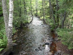 GNYLTÅN NV NYMÅLA (2M) Emån (74) GNYLTÅN NV NYMÅLA (2M) Koordinater (RT9) 636692-47966 2 26 st/m2 5 Blandskog Ingen påverkan Påverkansgrad (-3) Lämplig Strömlevande km 3,2 km 38 3 5,8 C,7 m 6 Färgat