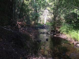 LILLÅN (Gnyltån) Beteshagen Emån (74) LILLÅN (Gnyltån) BETESHAGEN Koordinater (RT9) 636645-4785 25 Jämn st/m2 6 Blandskog Jordbruk allmänt Påverkansgrad (-3) Lämplig km 3,5 km Inga 386 3 7, C, m 4