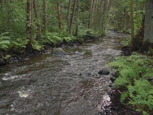 Hökesån Reningsverket Motala ström (67) Hökesån RENINGSVERKET Koordinater (RT9) 642248-3982 45 47 st/m2 7 Blandskog Biotopvårdsåtgärder Påverkansgrad (-3) 3 Mycke Lämplig,2 km 4,2 km Uppströms 373 3