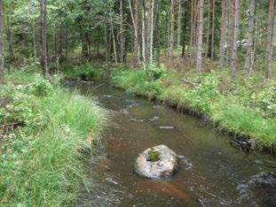 SKÄMNINGSFORSÅN SKOGSHEMMET NEDRE Motala ström (67) SKÄMNINGSFORSÅN SKOGSHEMMET NEDRE Koordinater (RT9) 64453-4327 29 49-9 st/m2-9 Röjning/gallring Påverkansgrad (-3) Lämplig,2 km 3,7 km 373 3 7 C
