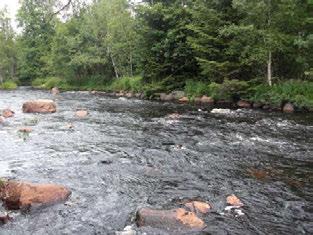 VÄSTERÅN 2 KM N KINNARED O ÖN Nissan () VÄSTERÅN 2 KM N KINNARED O ÖN Koordinater (RT9) 632746-33668 99 4 st/m2 Blandskog Ingen påverkan Påverkansgrad (-3) Lämplig Strömlevande km km 37 3 8,4 C,23 m