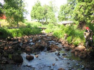 ÄLGÅN KLEREBO Nissan () ÄLGÅN KLEREBO Koordinater (RT9) 6463-385 29 8 st/m2 4 Blandskog Vattenreglering Påverkansgrad (-3) 2 Kraftig Strömlevande,2 km km Uppströms 37 3 4,9 C,5 m 6 Mycket färgat
